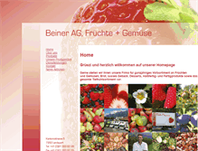 Tablet Screenshot of beinerag.ch